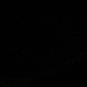 Meet your Posher, Annabelle